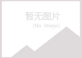 河池忆翠造纸有限公司